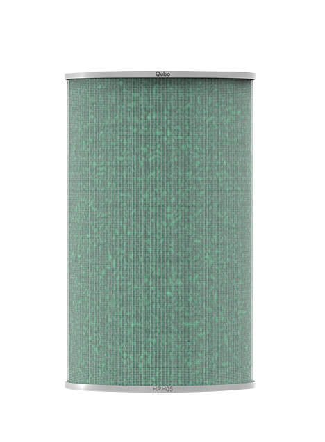 Q1000 Filter
