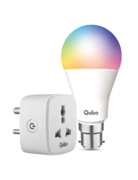 Smart Bulbs & Plugs