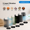 Product view