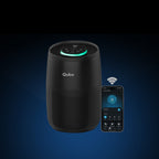 Smart Air Purifier R250 for Home [Upto 250 SqFt]