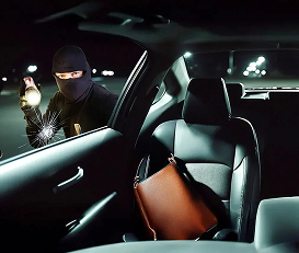 Proof Against<br>  In-Car thefts  
