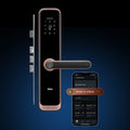 Door Lock ELITE, Copper