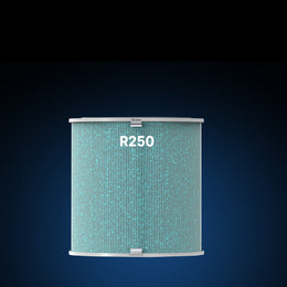 Smart Air Purifier R250 Filter