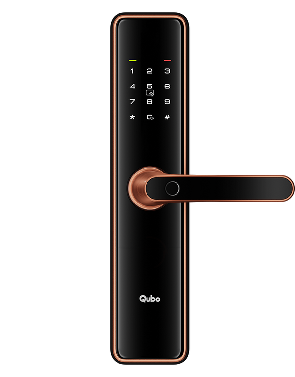 Smart Door Locks