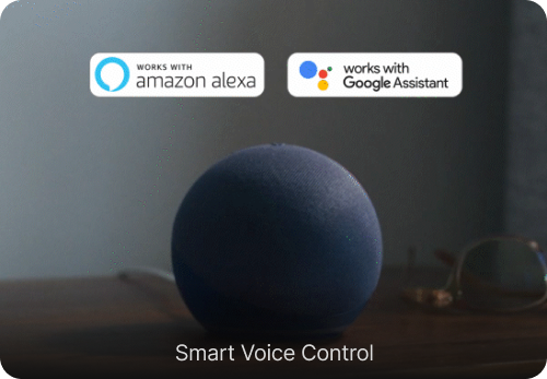 Smart Voice Control