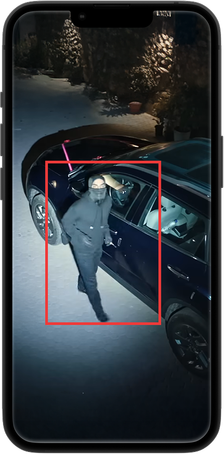 AI-Powered Detection