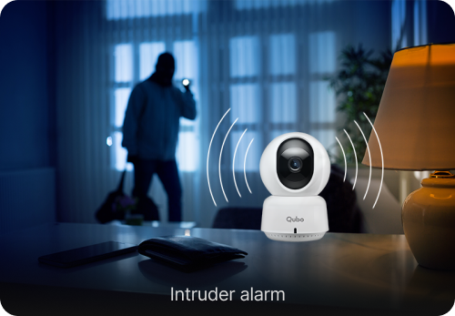 Intruder Alarm