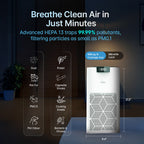 Smart Air Purifier Q500 for Home [Upto 500 SqFt]