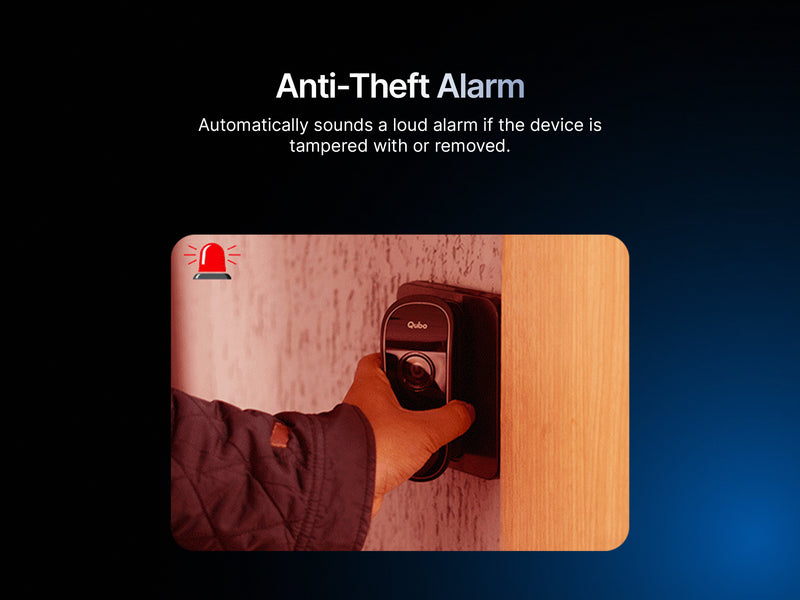 Anti-theft Alarm