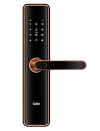 Smart Door Lock Ultra Wi-Fi