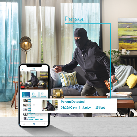 Indoor camera with person motion detector